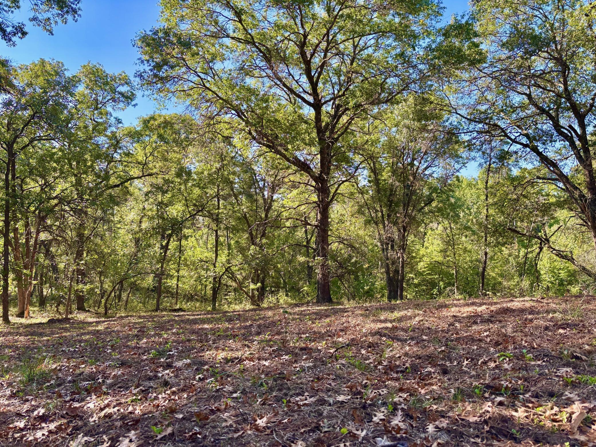 Tbd151 River Road St. Croix Falls, WI 54024 - Photo 40 of 87