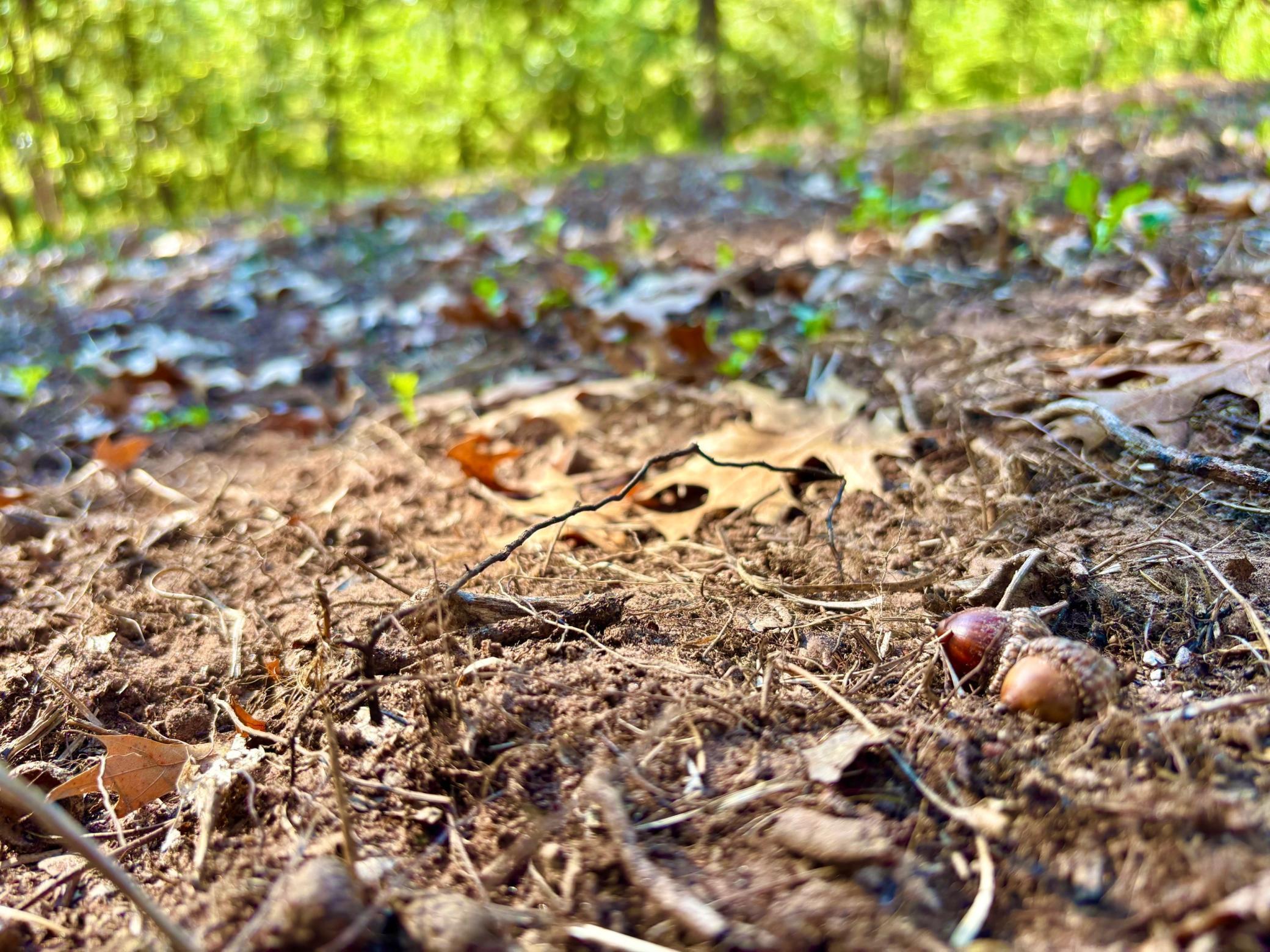 Tbd151 River Road St. Croix Falls, WI 54024 - Photo 41 of 87