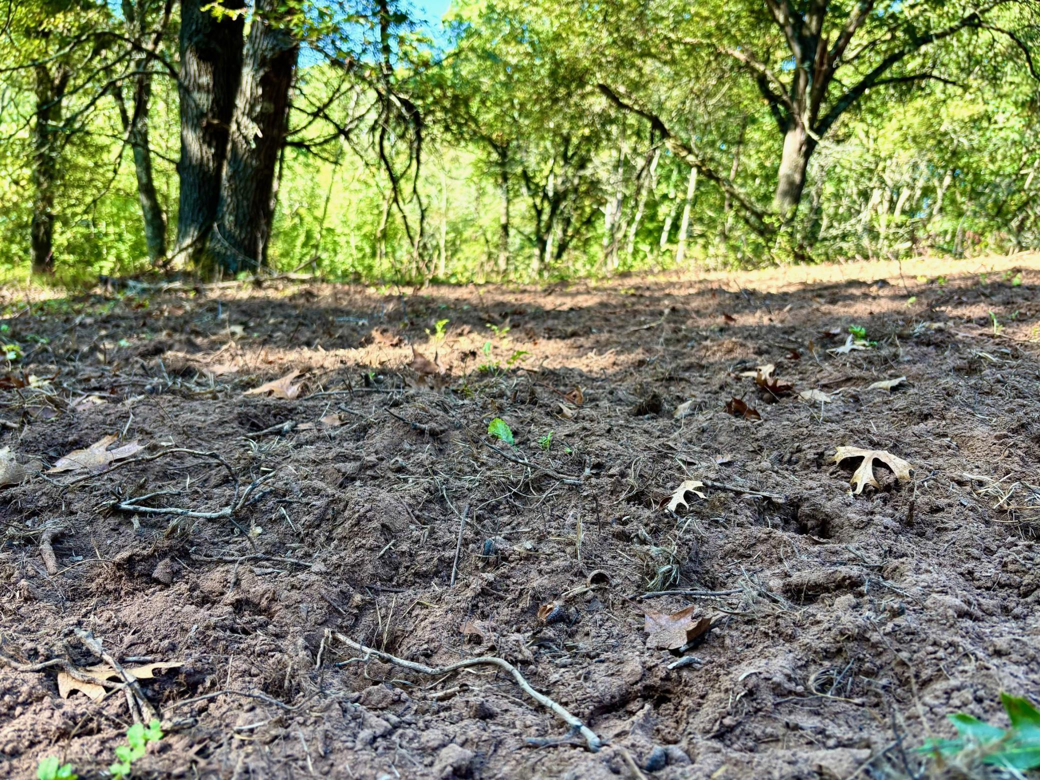 Tbd151 River Road St. Croix Falls, WI 54024 - Photo 42 of 87