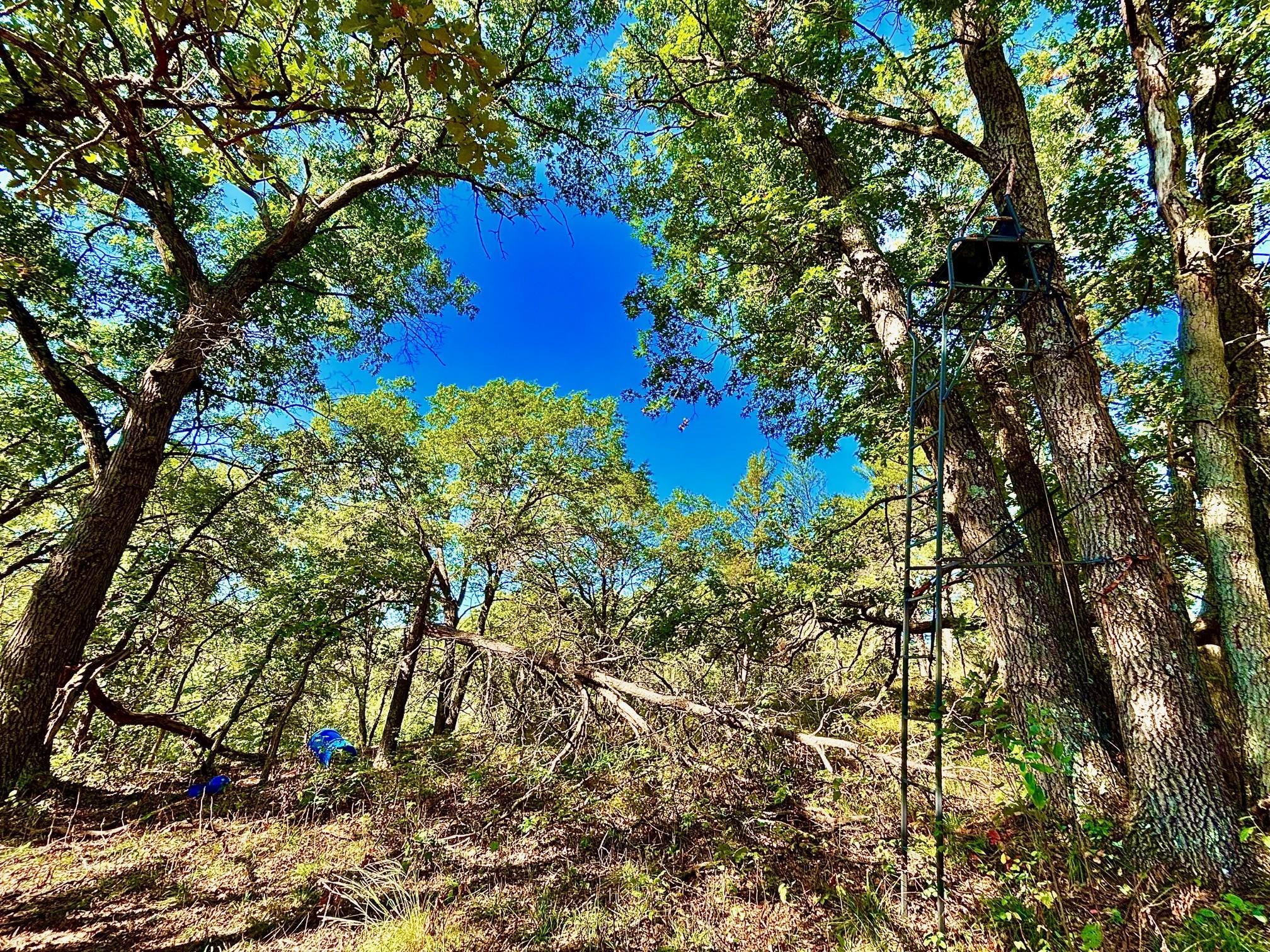 Tbd151 River Road St. Croix Falls, WI 54024 - Photo 43 of 87