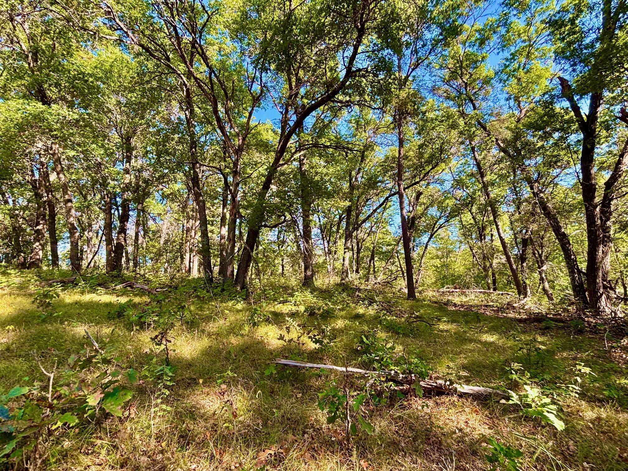 Tbd151 River Road St. Croix Falls, WI 54024 - Photo 44 of 87