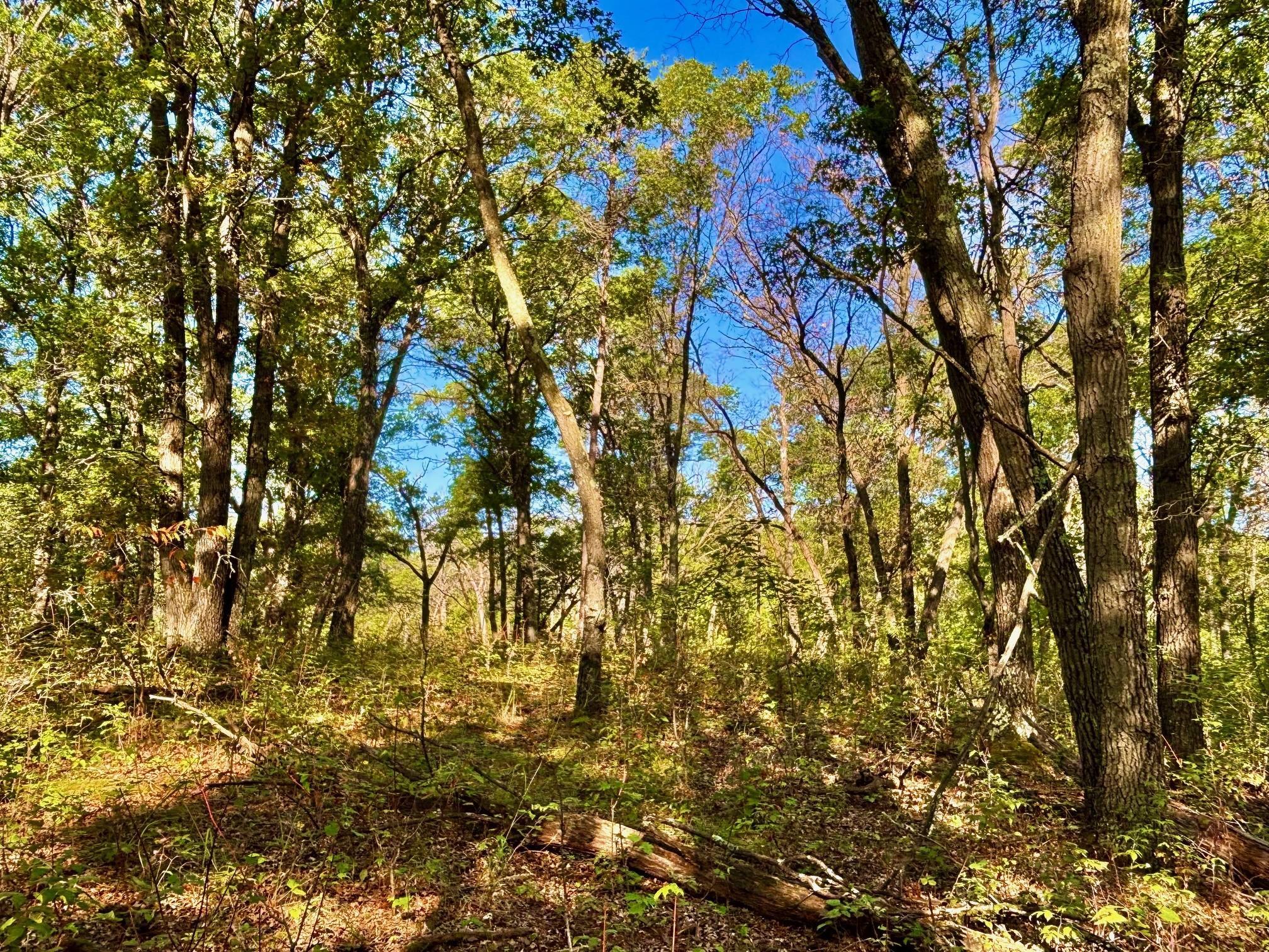 Tbd151 River Road St. Croix Falls, WI 54024 - Photo 48 of 87
