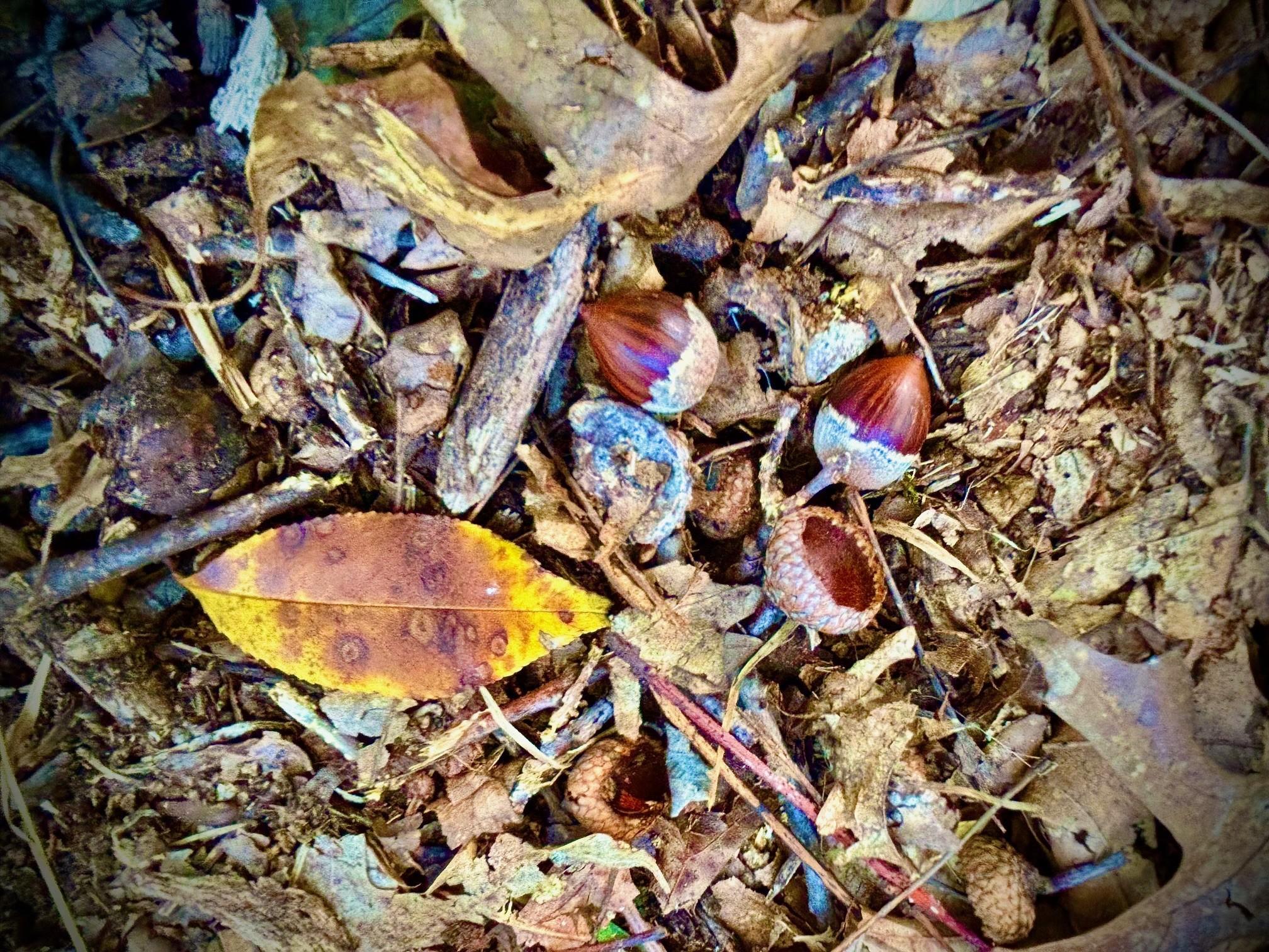 Tbd151 River Road St. Croix Falls, WI 54024 - Photo 49 of 87