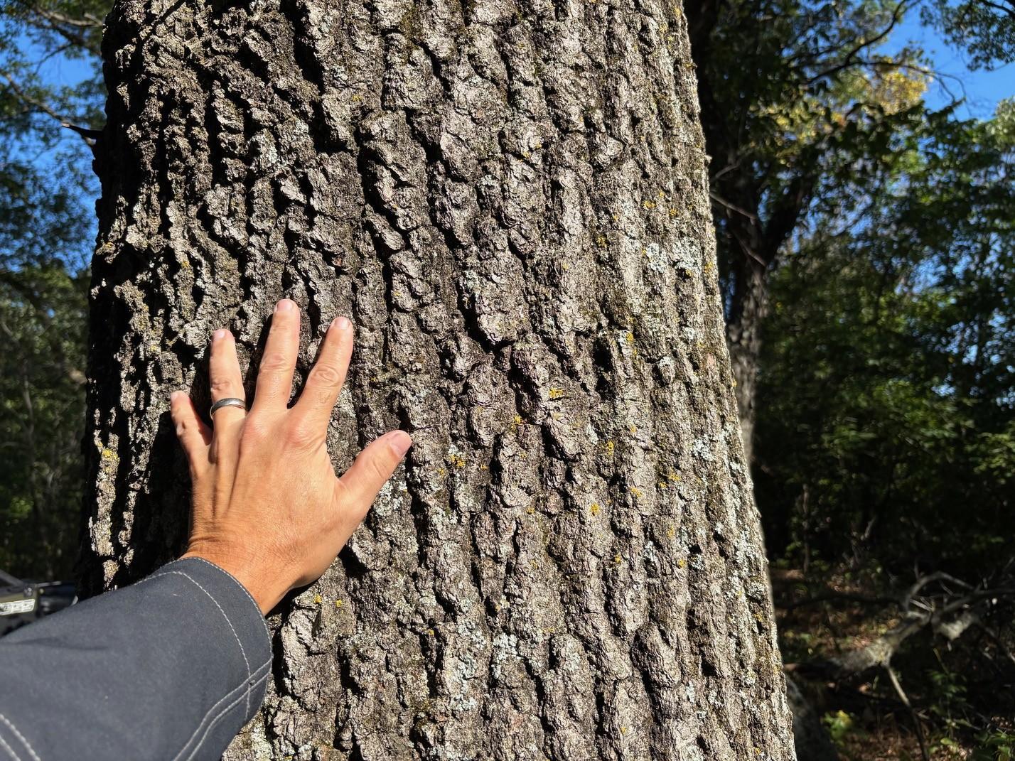 Tbd151 River Road St. Croix Falls, WI 54024 - Photo 55 of 87