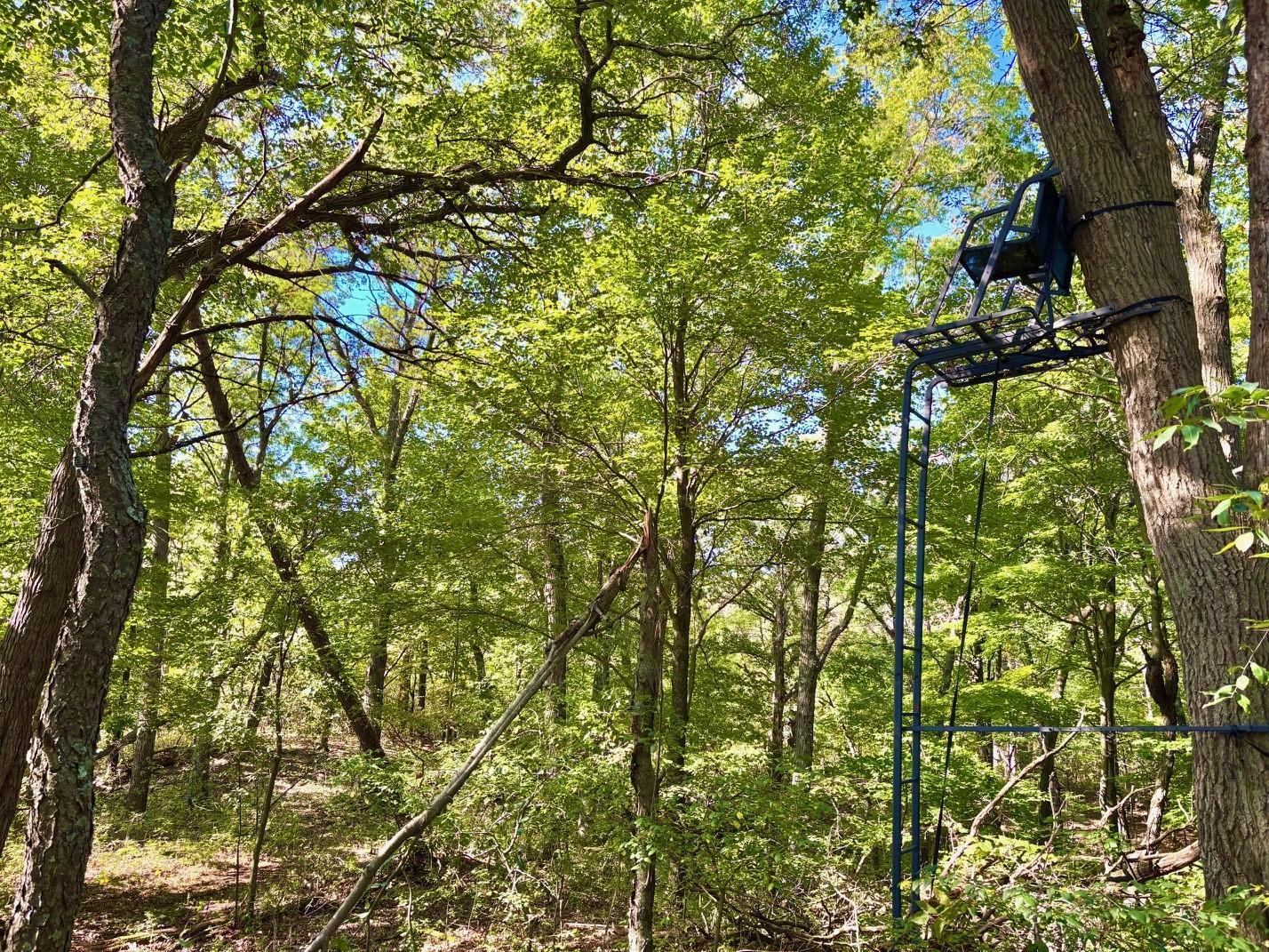 Tbd151 River Road St. Croix Falls, WI 54024 - Photo 57 of 87