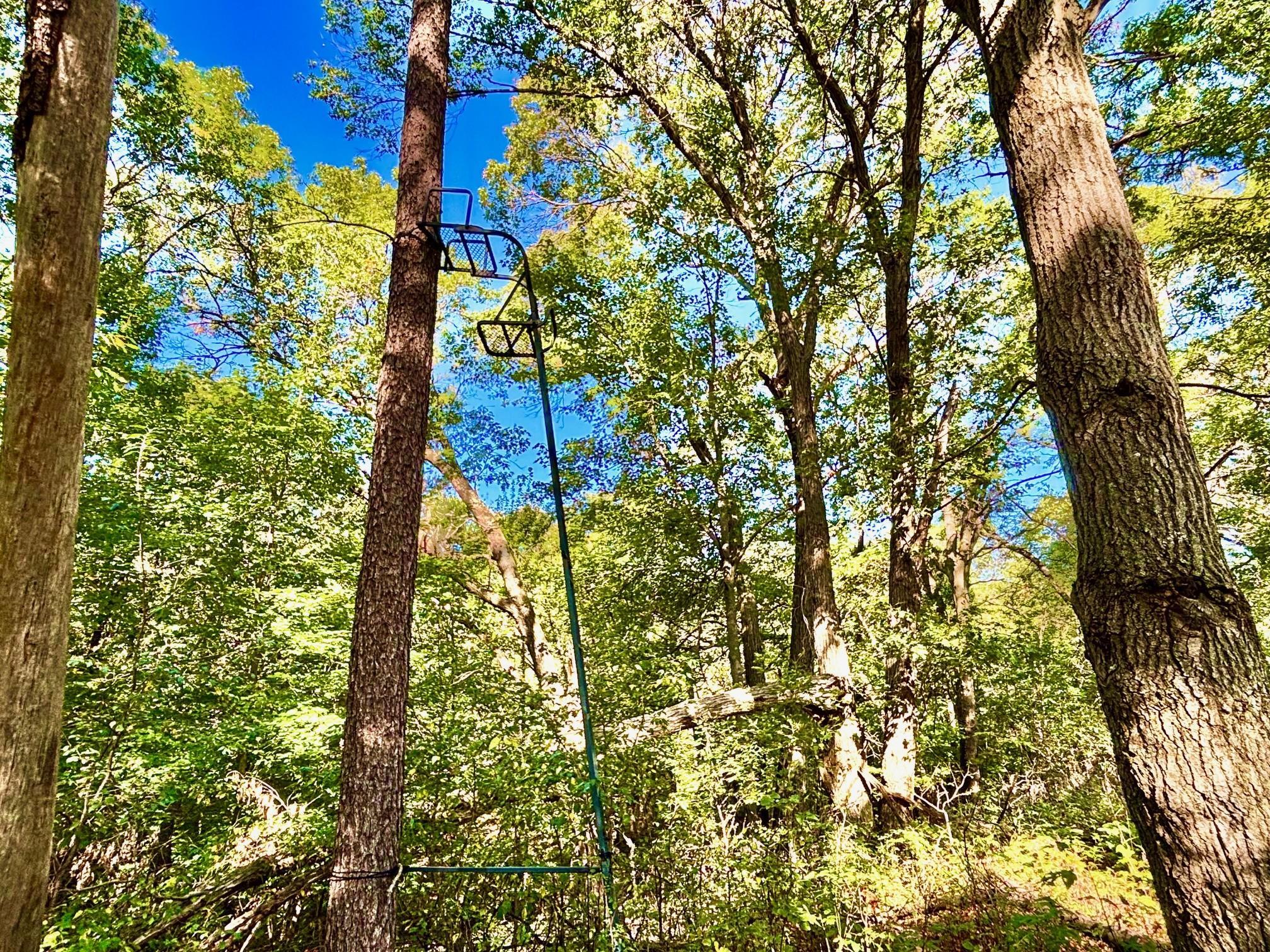 Tbd151 River Road St. Croix Falls, WI 54024 - Photo 59 of 87