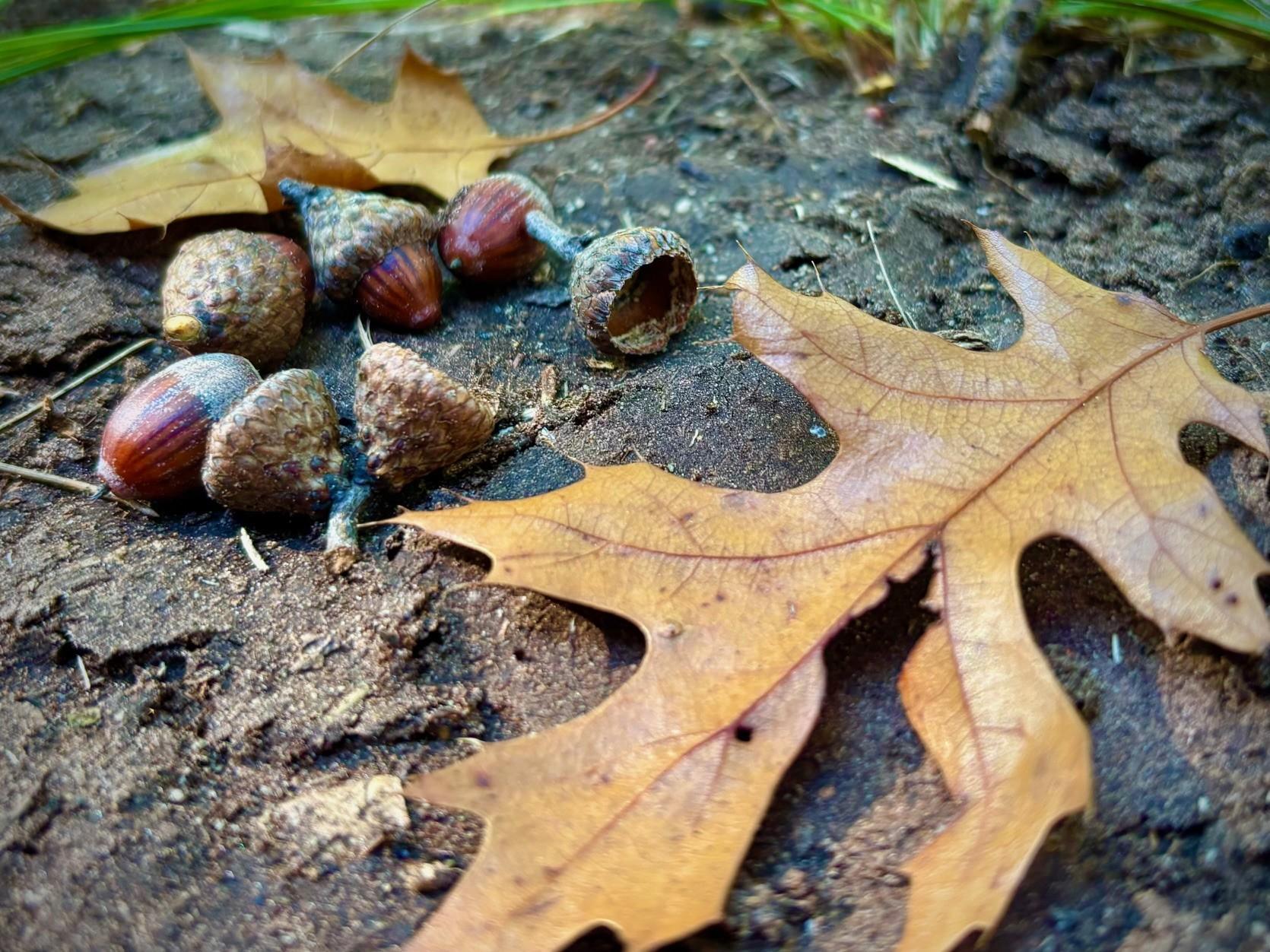 Tbd151 River Road St. Croix Falls, WI 54024 - Photo 60 of 87