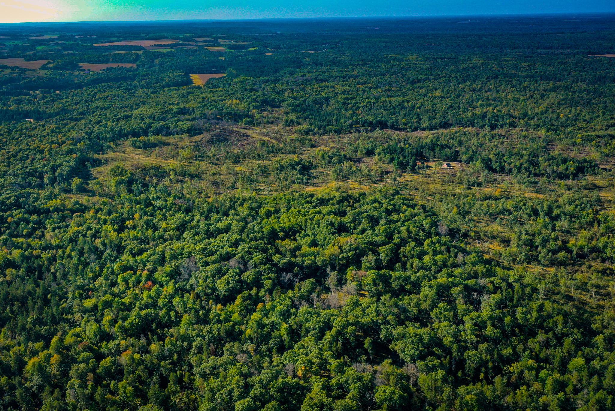 Tbd151 River Road St. Croix Falls, WI 54024 - Photo 64 of 87