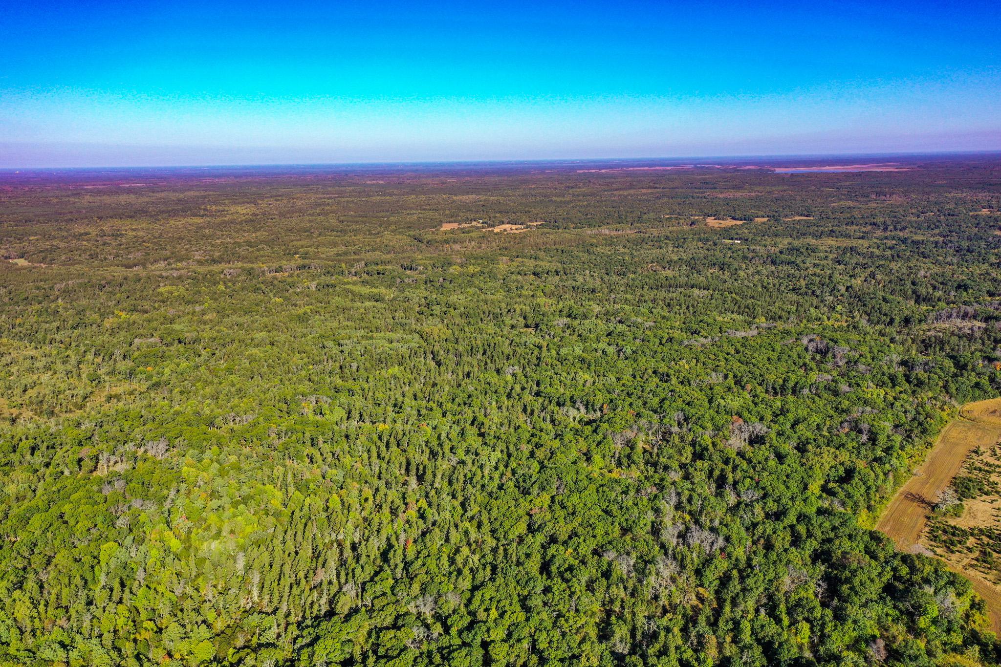 Tbd151 River Road St. Croix Falls, WI 54024 - Photo 67 of 87