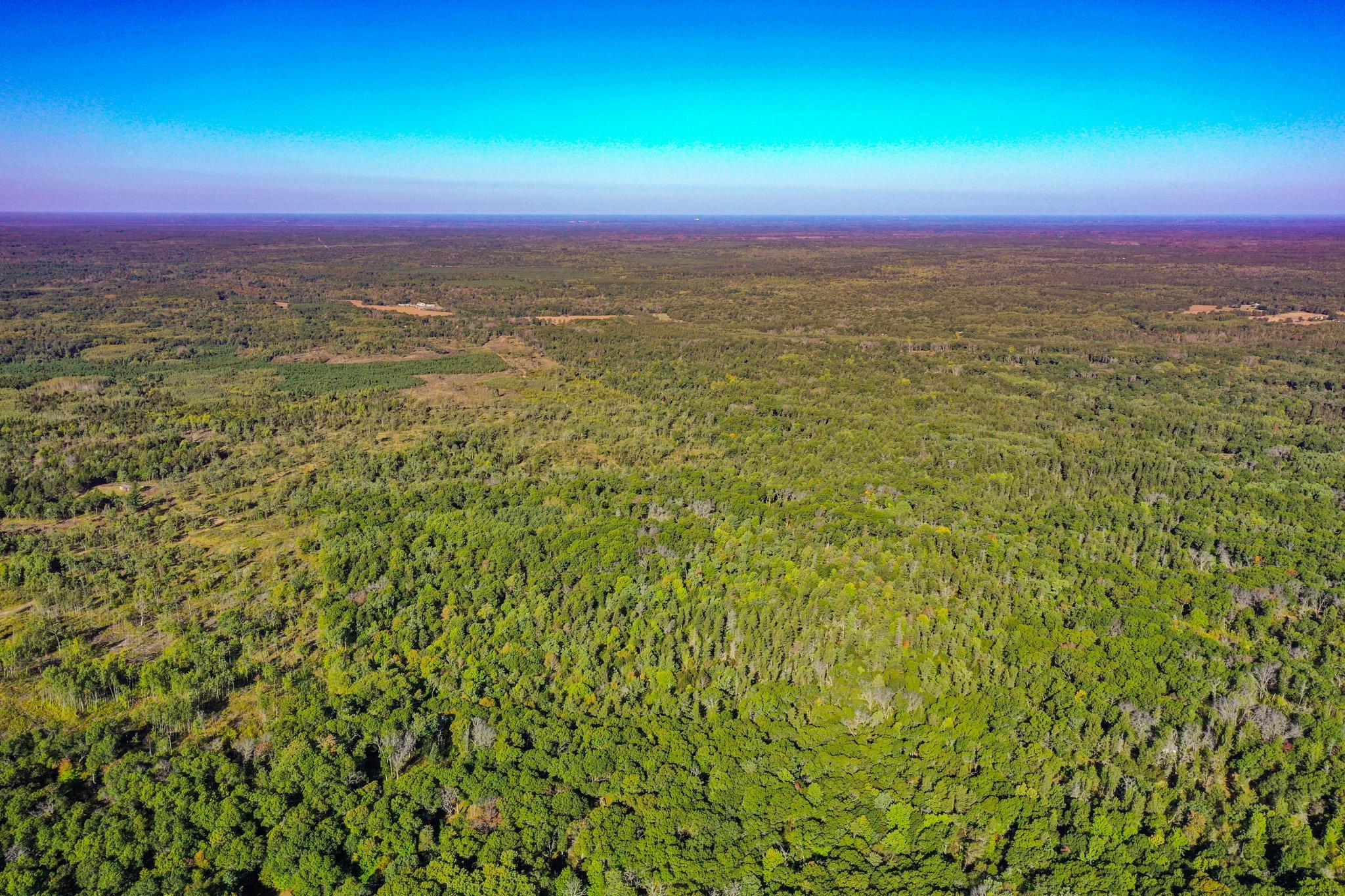 Tbd151 River Road St. Croix Falls, WI 54024 - Photo 68 of 87