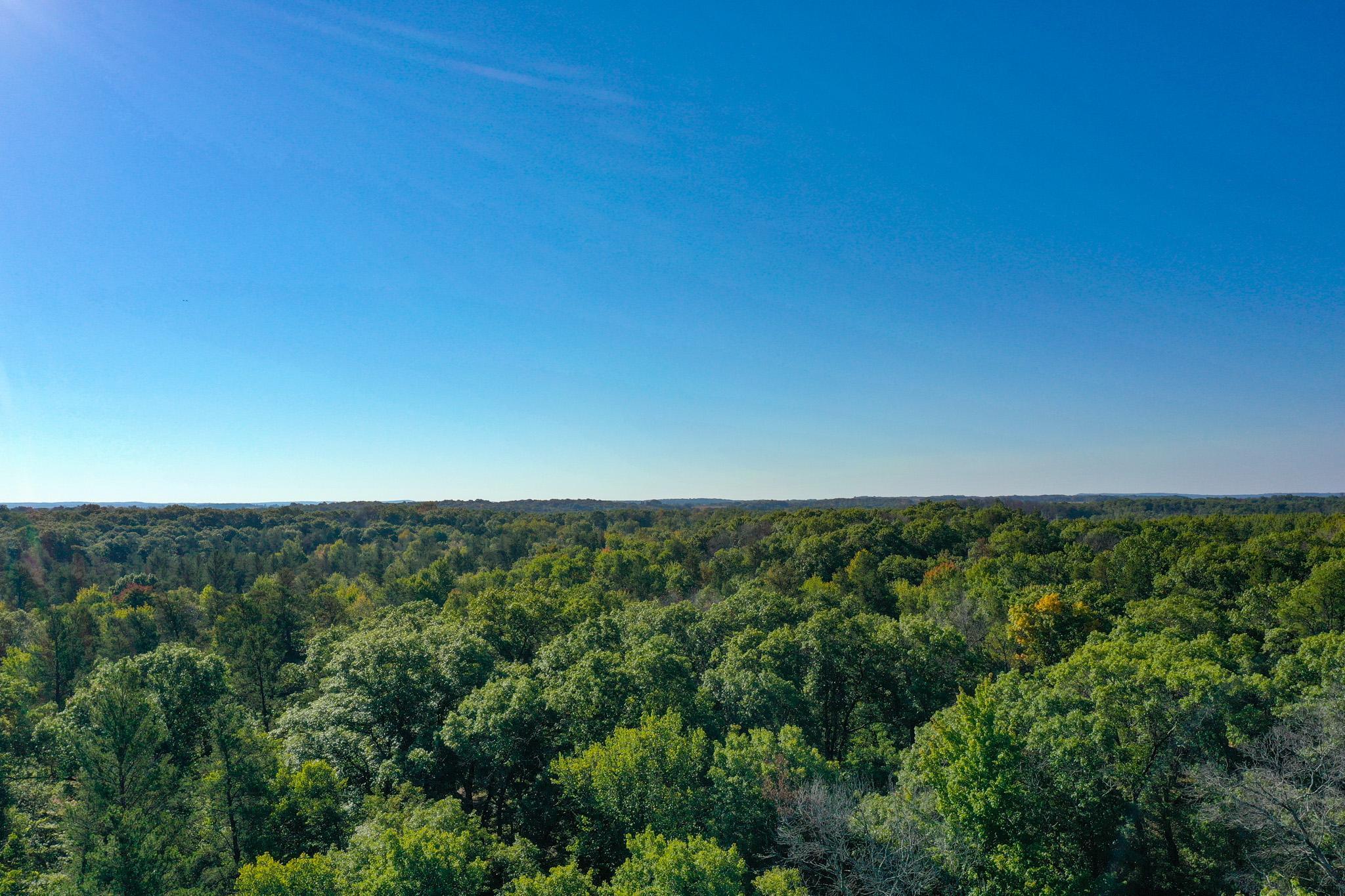 Tbd151 River Road St. Croix Falls, WI 54024 - Photo 69 of 87