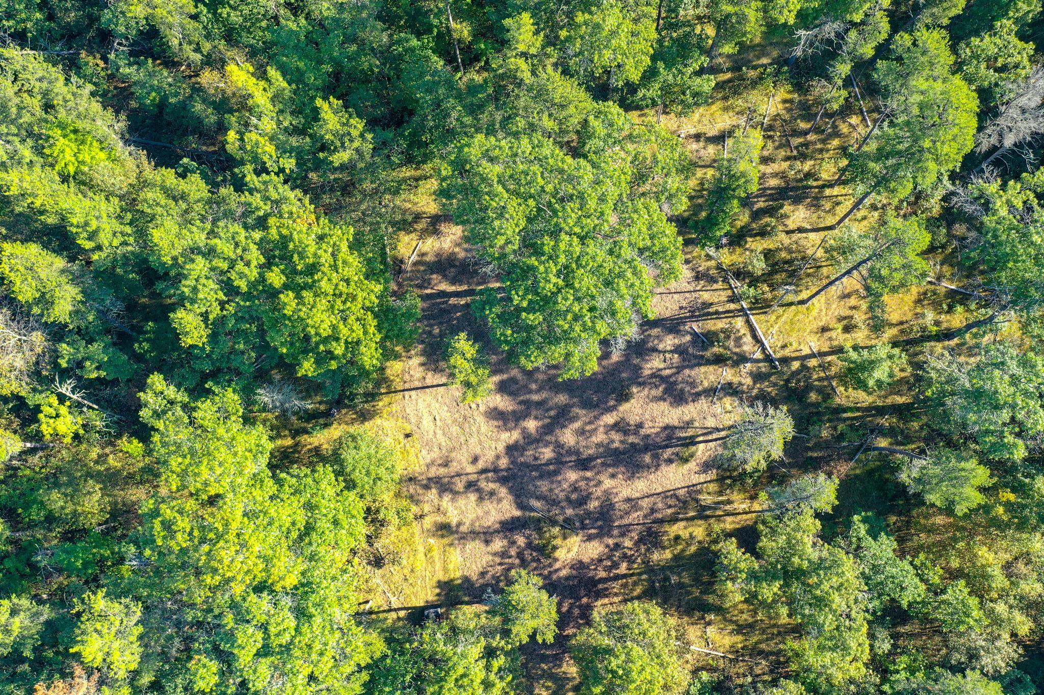 Tbd151 River Road St. Croix Falls, WI 54024 - Photo 70 of 87