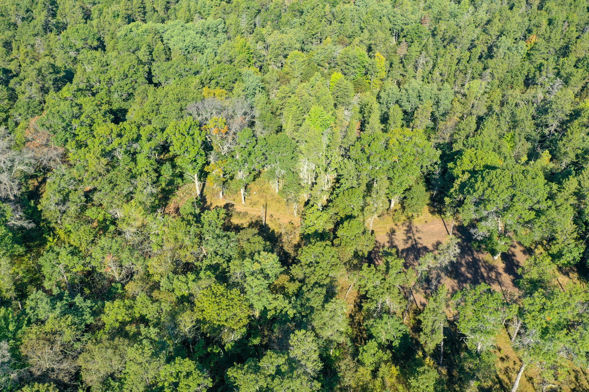 Tbd151 River Road St. Croix Falls, WI 54024 - Photo 71 of 87