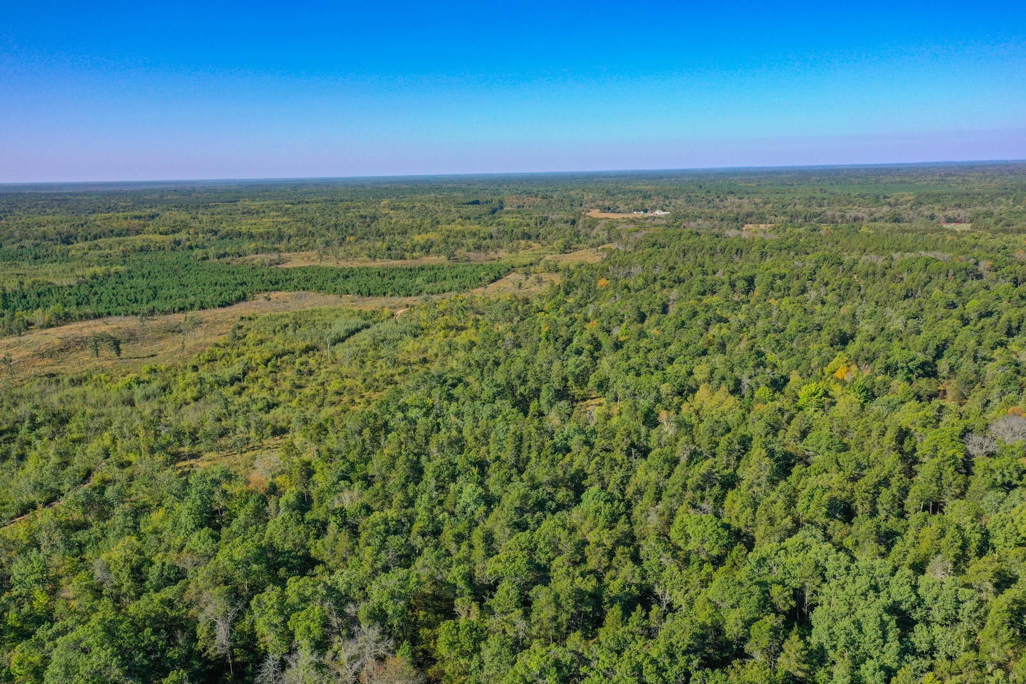 Tbd151 River Road St. Croix Falls, WI 54024 - Photo 72 of 87