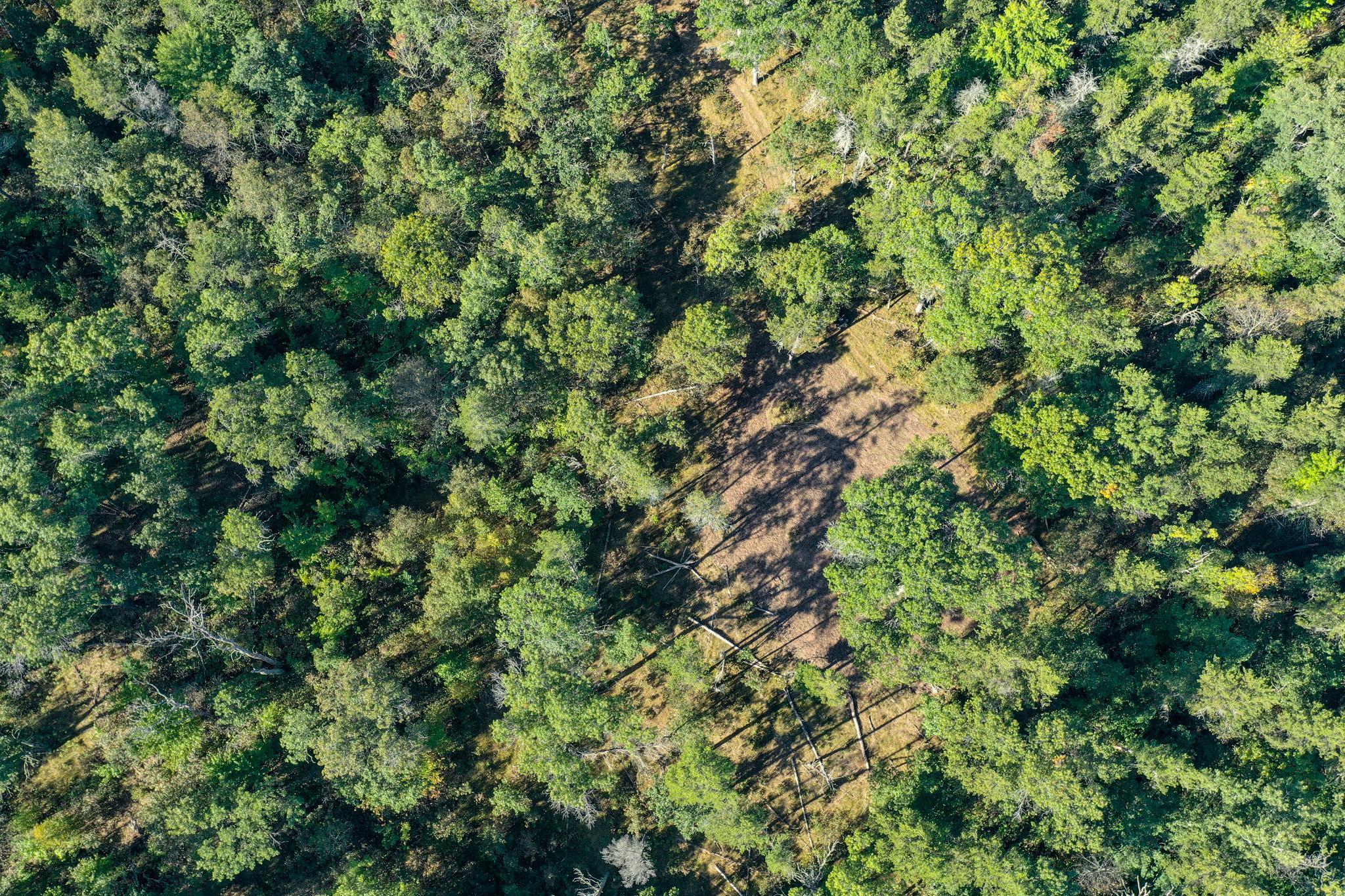 Tbd151 River Road St. Croix Falls, WI 54024 - Photo 73 of 87