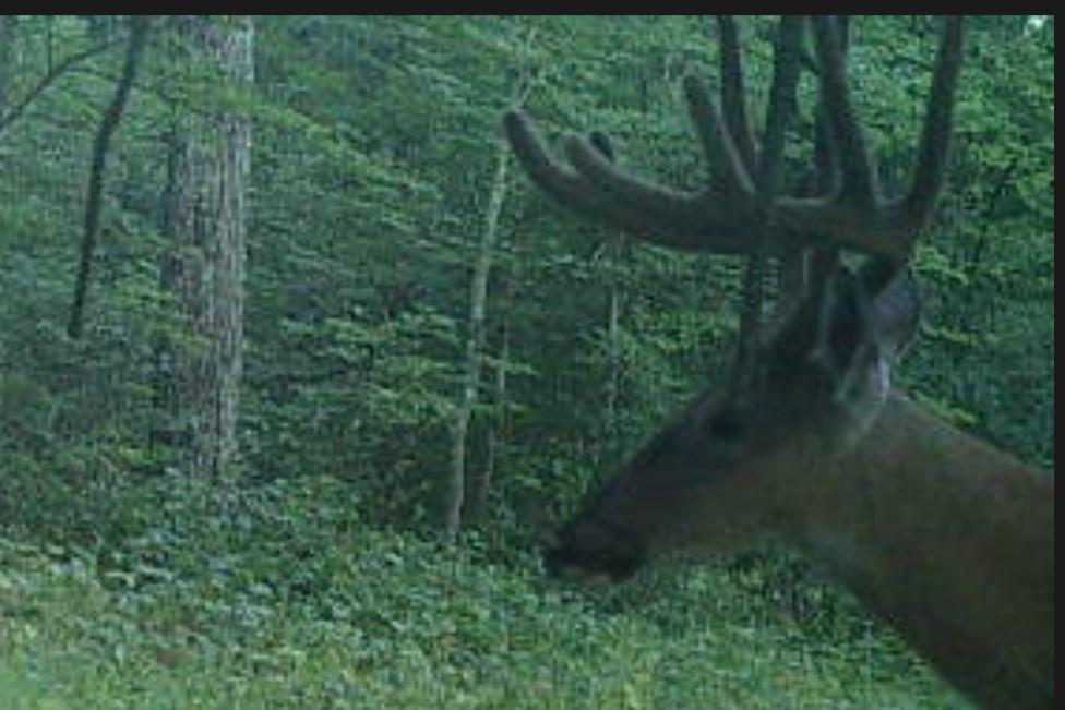 Tbd151 River Road St. Croix Falls, WI 54024 - Photo 78 of 87