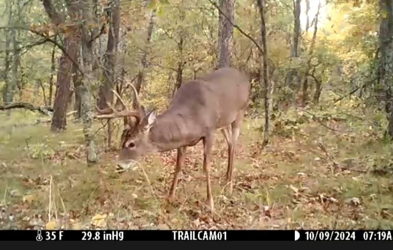 Tbd151 River Road St. Croix Falls, WI 54024 - Photo 79 of 87