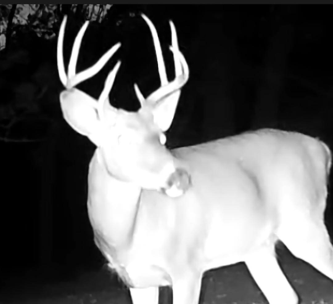 Tbd151 River Road St. Croix Falls, WI 54024 - Photo 81 of 87