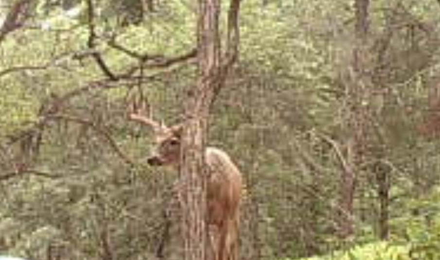 Tbd151 River Road St. Croix Falls, WI 54024 - Photo 82 of 87