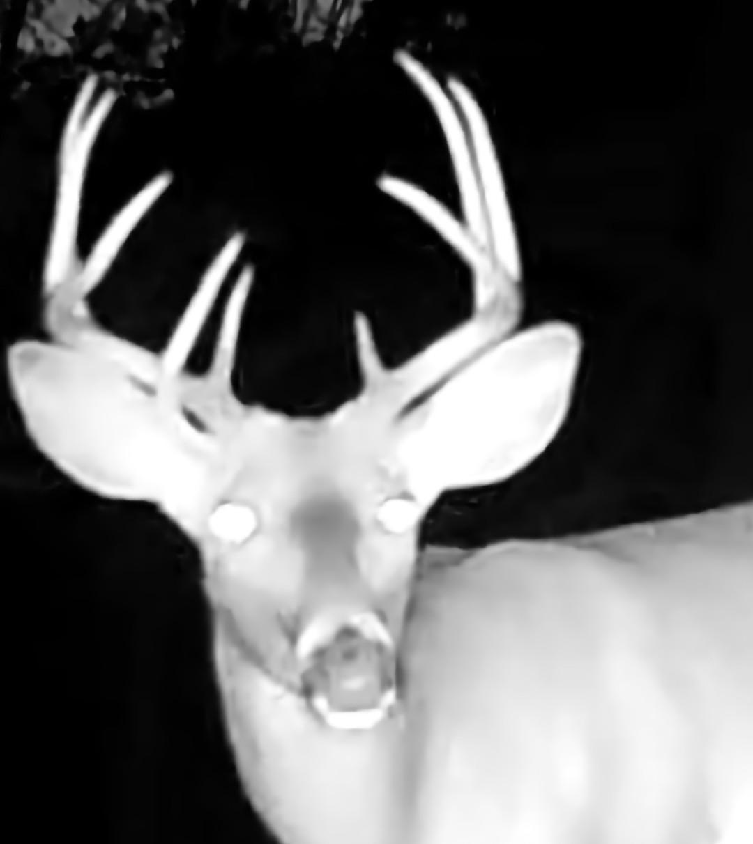 Tbd151 River Road St. Croix Falls, WI 54024 - Photo 83 of 87