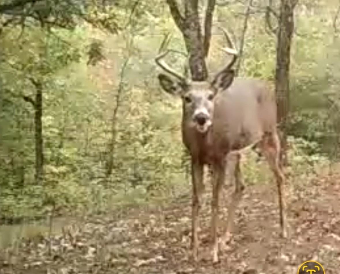 Tbd151 River Road St. Croix Falls, WI 54024 - Photo 84 of 87