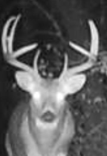 Tbd151 River Road St. Croix Falls, WI 54024 - Photo 85 of 87