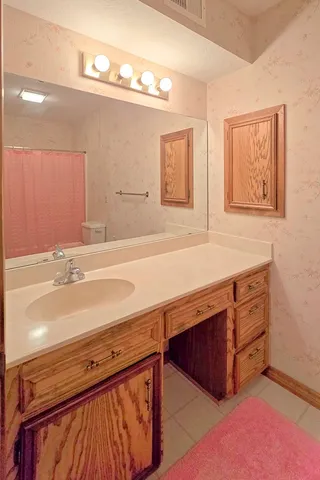 a bathroom with a sink and a toilet