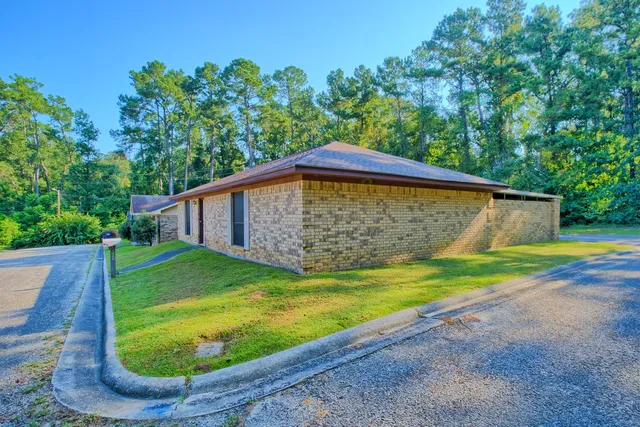 a view of a backyard with plants and large trees