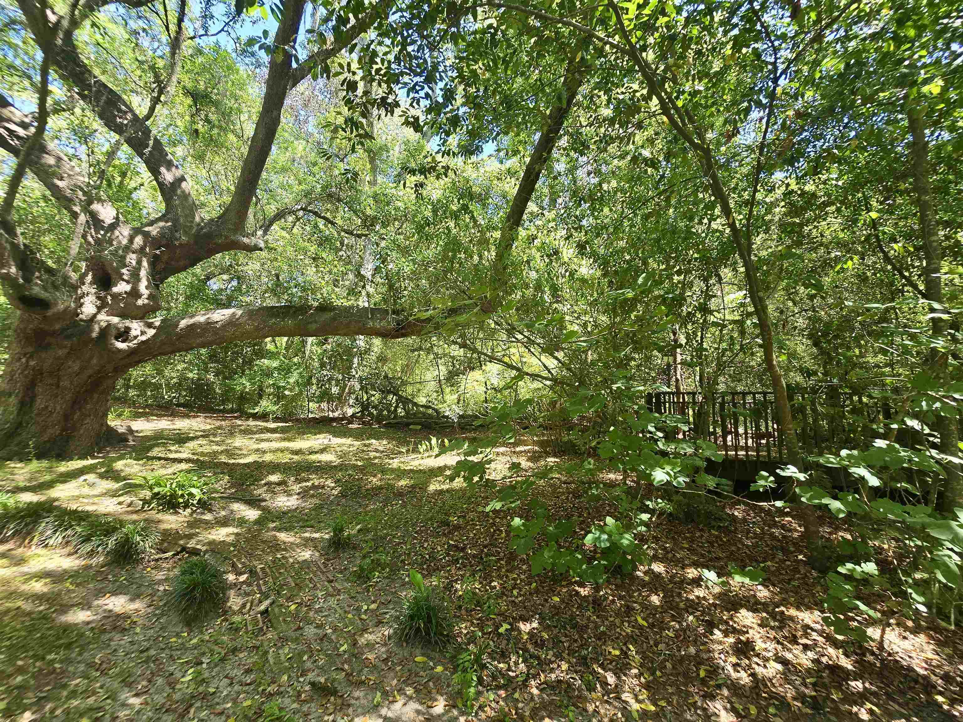 727 Miccosukee Road Tallahassee, FL 32308 - Photo 57 of 67 Gallery Image 57