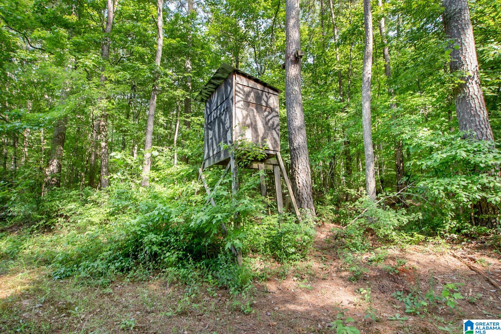 682 Shirley Latham Road Reform, AL 35481 - Photo 41 of 50