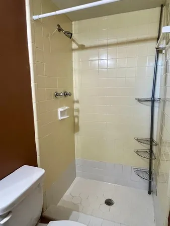 a bathroom with a shower and a toilet