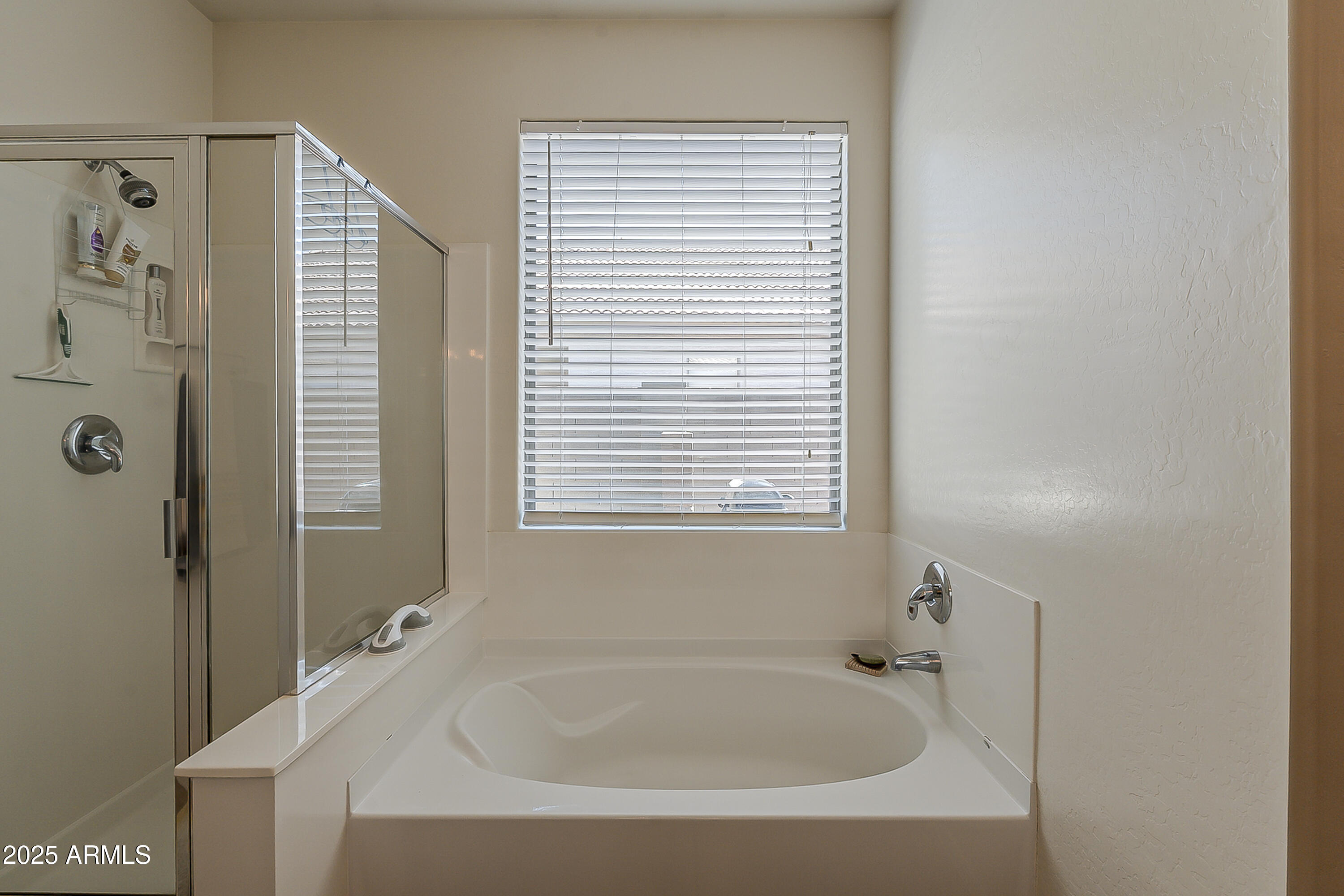 3589 East Flower Street Gilbert, AZ 85298 - Photo 17 of 47