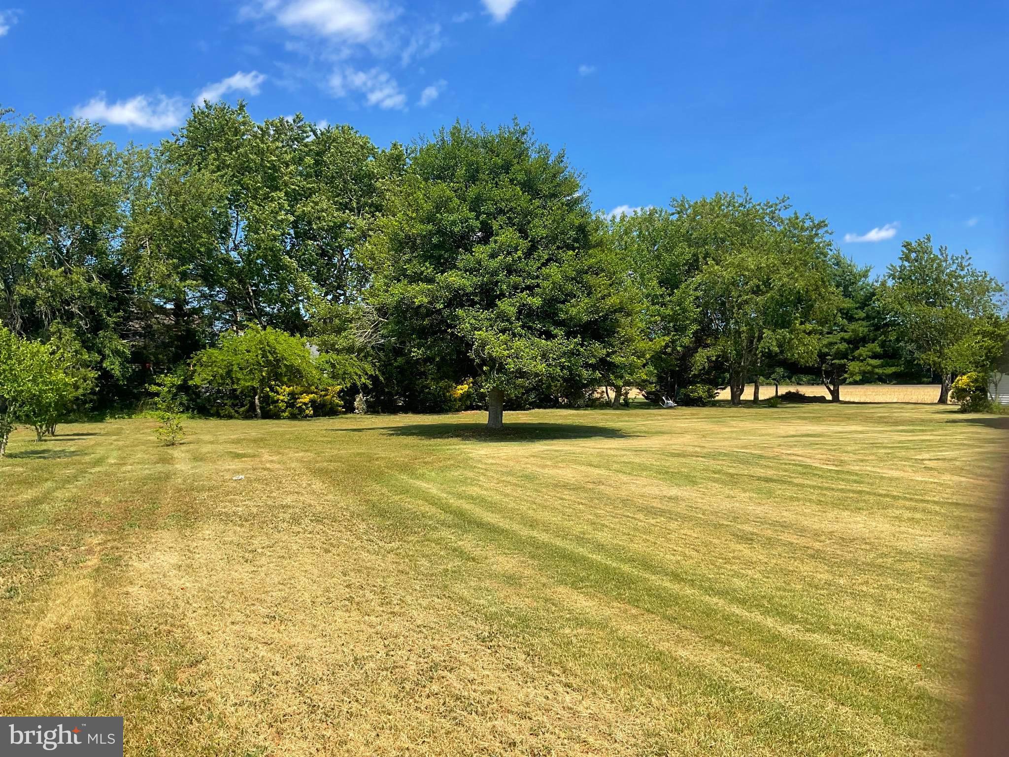 20188 Plantation Road Lewes, DE 19958 - Photo 35 of 37