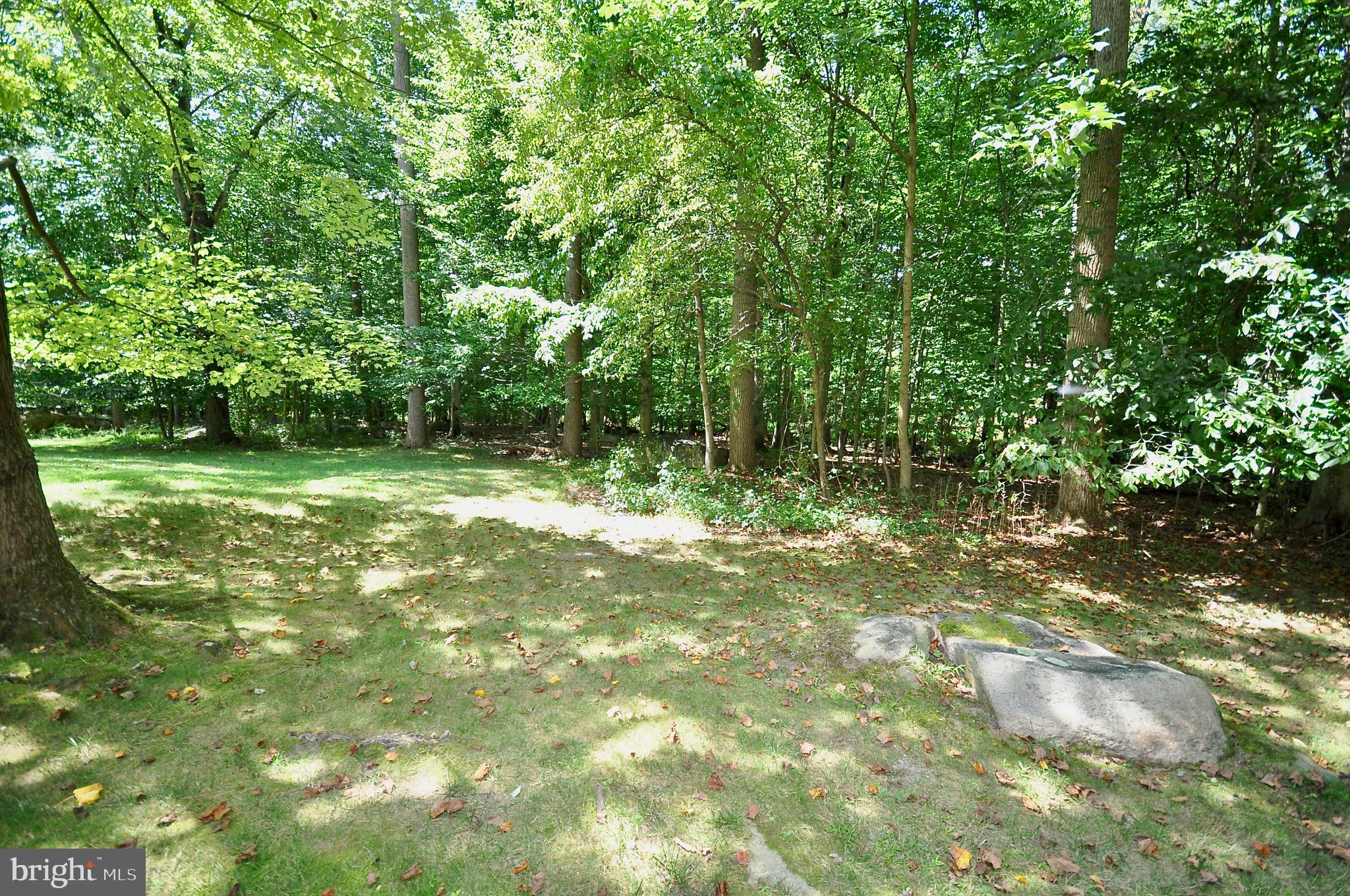 517 Williamson Circle Media, PA 19063 - Photo 39 of 41 Rear of property