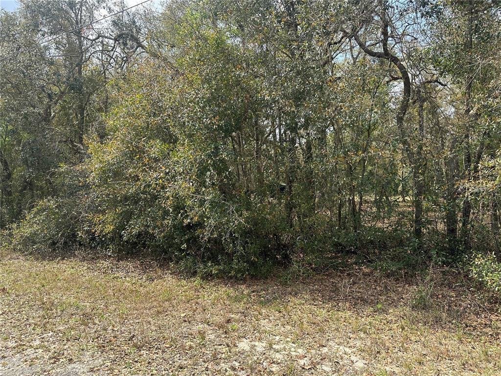 9035 Real Stone Webster, FL 33597 - Photo 3 of 5 Gallery Image 3