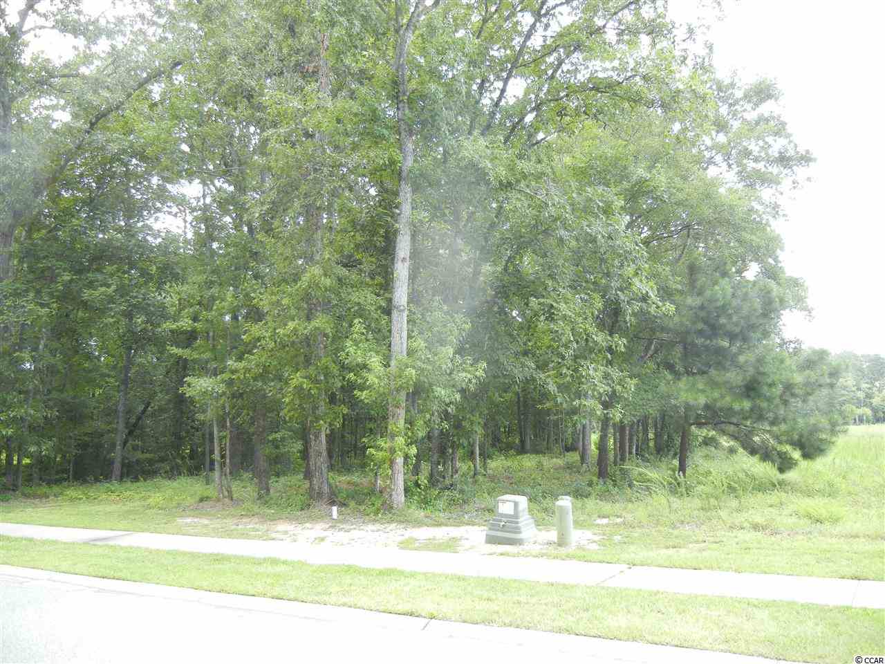 Lot 70 Chamberlin Road Myrtle Beach, SC 29588 - Photo 1 of 18 Gallery Image 1