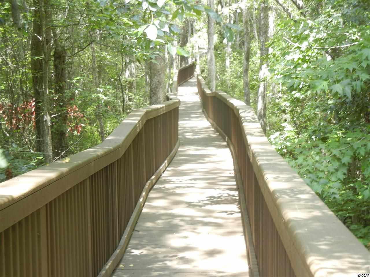 Lot 70 Chamberlin Road Myrtle Beach, SC 29588 - Photo 11 of 18 Gallery Image 11