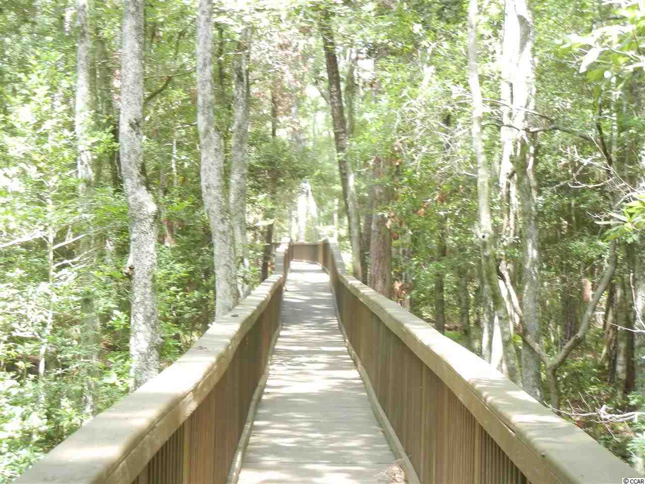 Lot 70 Chamberlin Road Myrtle Beach, SC 29588 - Photo 12 of 18 Gallery Image 12