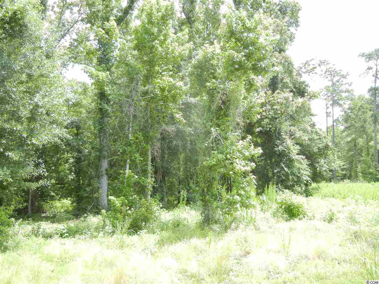 Lot 70 Chamberlin Road Myrtle Beach, SC 29588 - Photo 6 of 18 Gallery Image 6