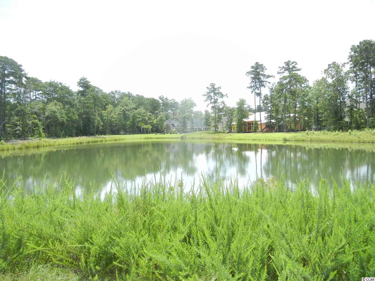 Lot 70 Chamberlin Road Myrtle Beach, SC 29588 - Photo 7 of 18 Gallery Image 7