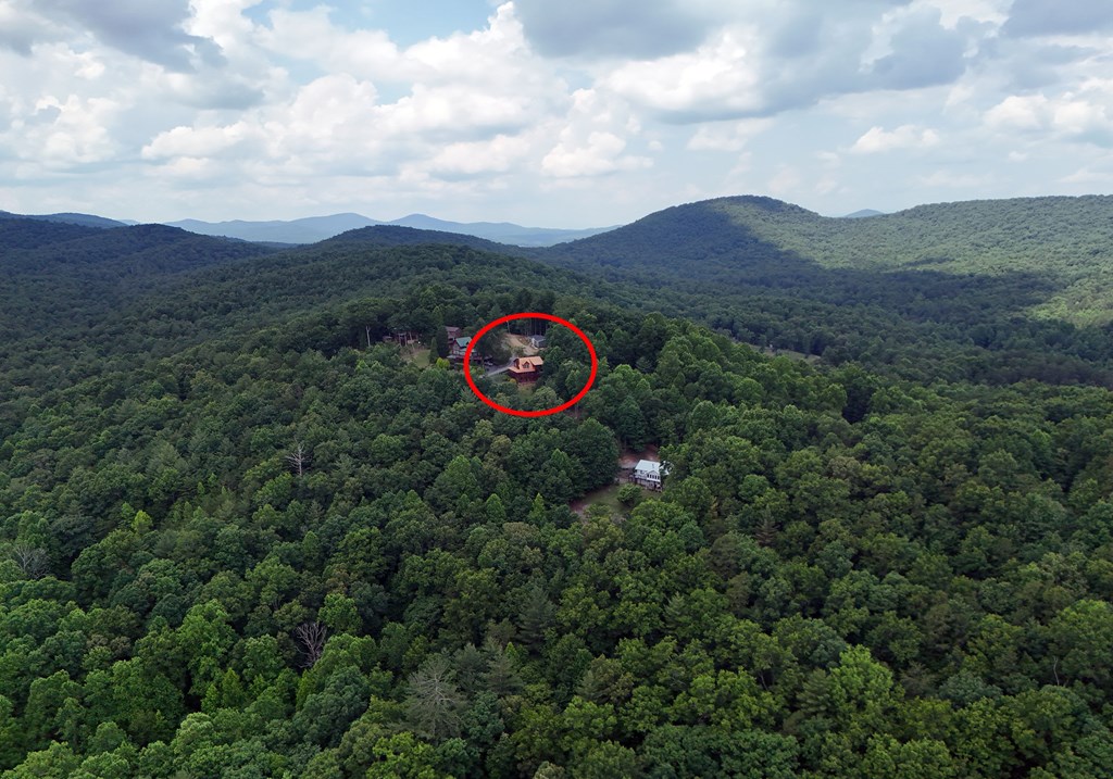 224 Crest Road Blairsville, GA 30512 - Photo 18 of 62