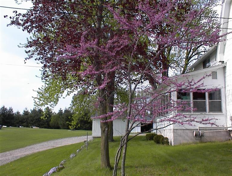 4205 Judd Road Milan, MI 48160 - Photo 5 of 20 Photo 5