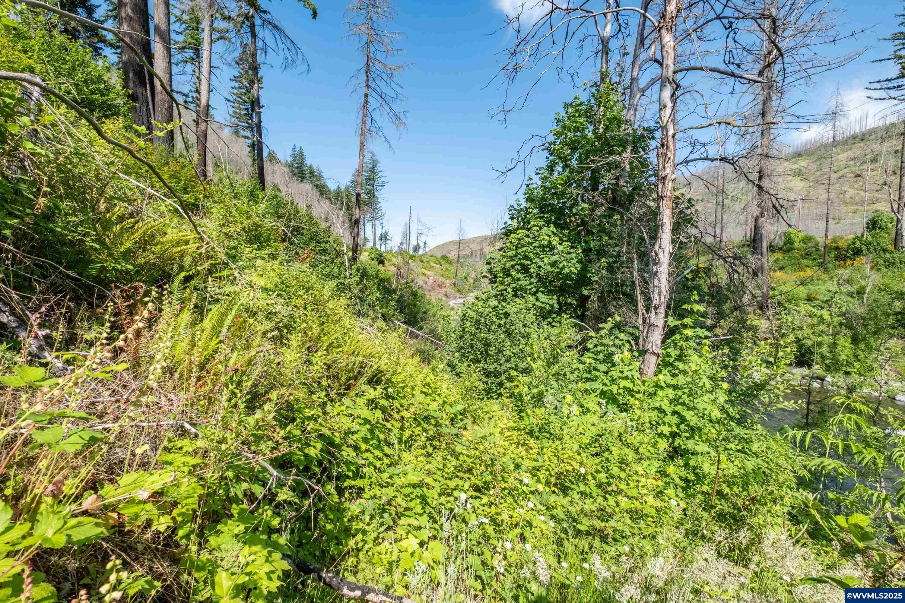 26147 Taylor Park Road Southeast Lyons, OR 97358 - Photo 20 of 25