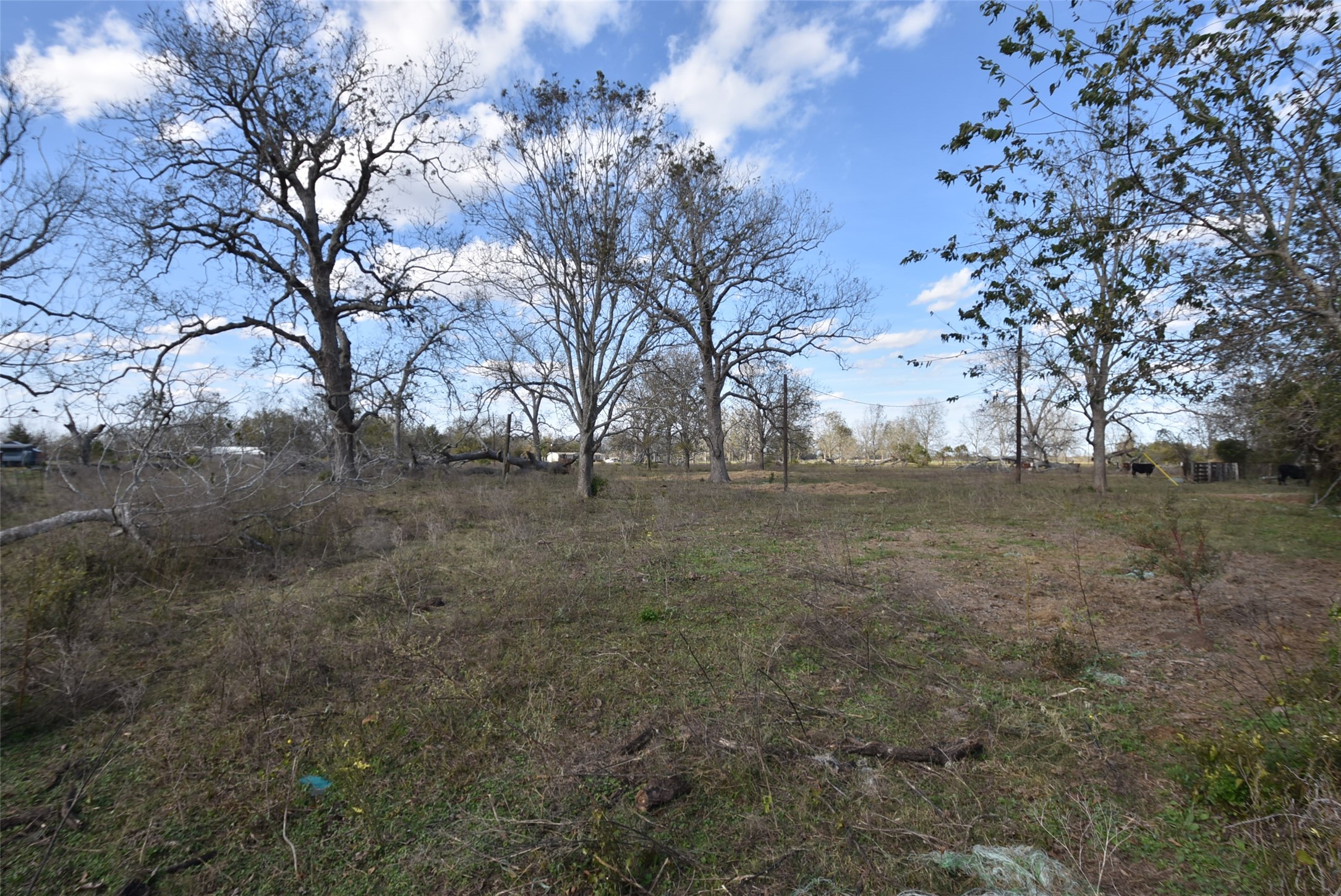 201 County Road 224 Wharton, TX 77488 - Photo 11 of 41 a view of dirt yard with a tree