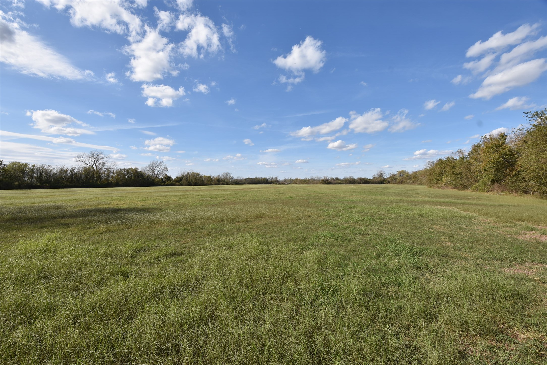 201 County Road 224 Wharton, TX 77488 - Photo 26 of 41 a view of a big yard