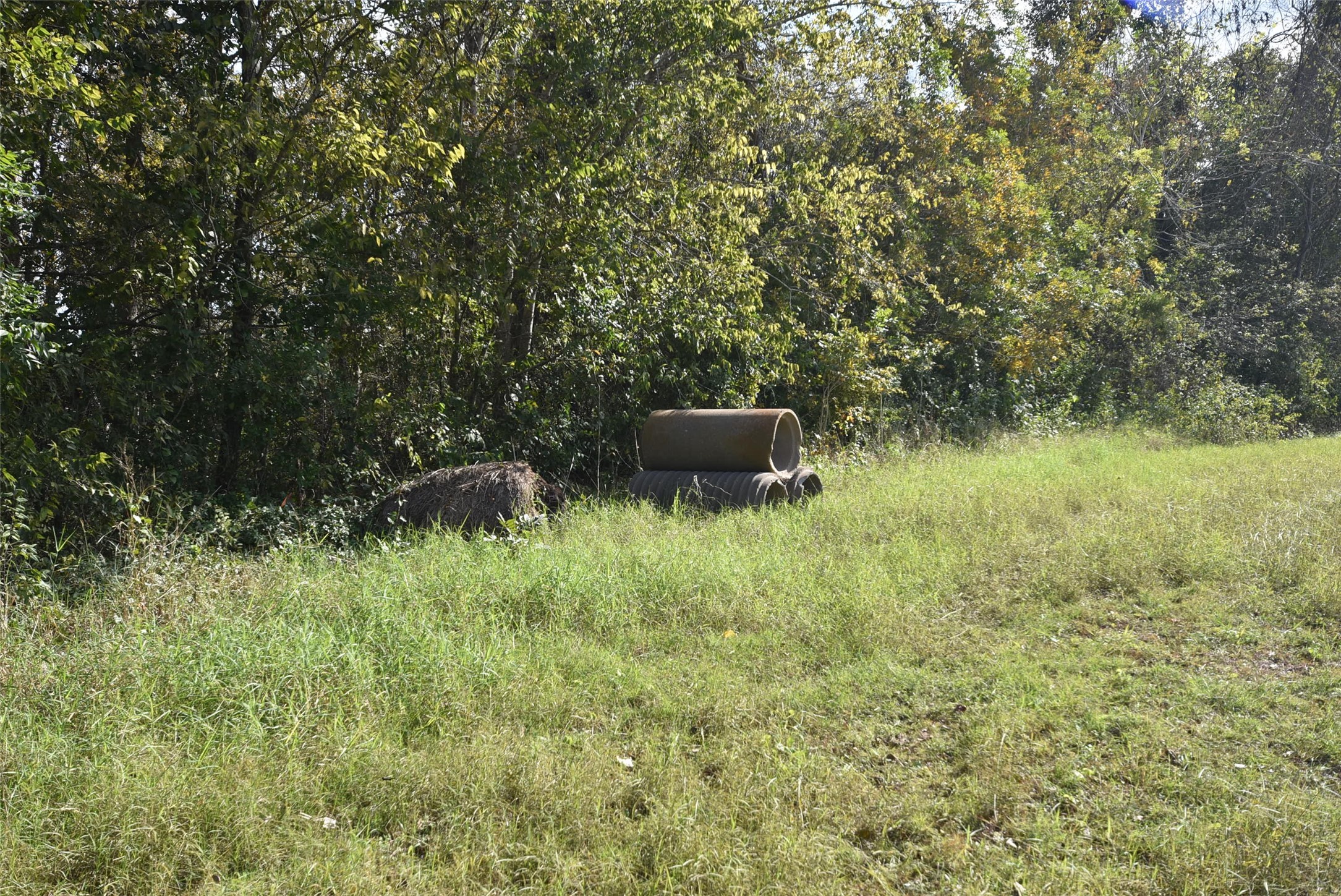 201 County Road 224 Wharton, TX 77488 - Photo 28 of 41 a view of a garden