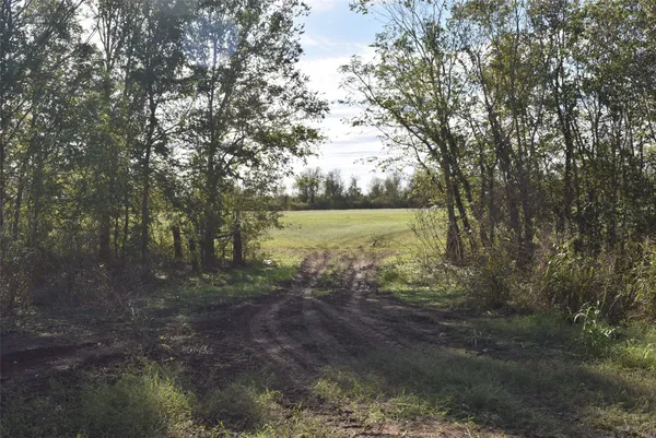 a view of a big yard