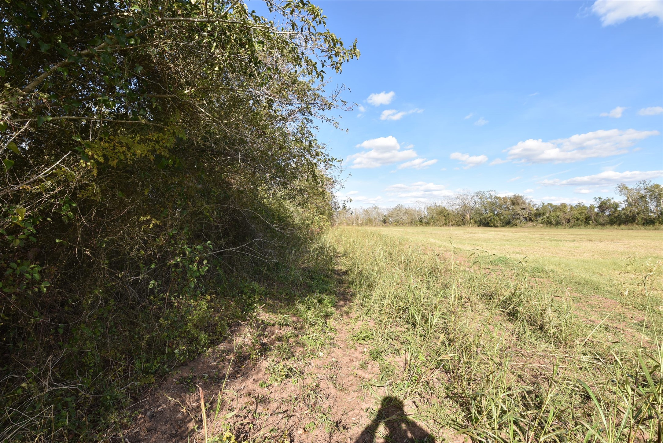 201 County Road 224 Wharton, TX 77488 - Photo 34 of 41