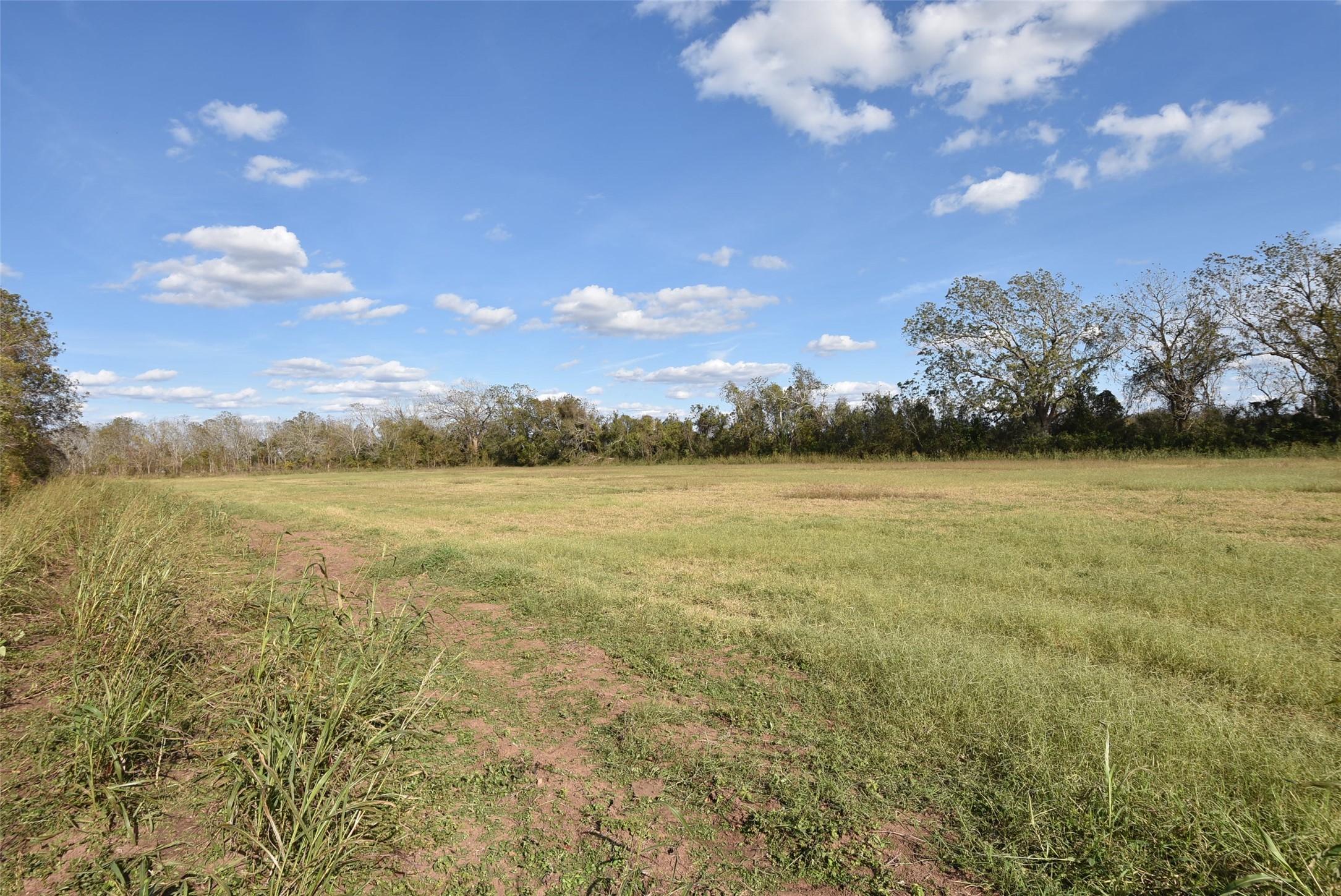 201 County Road 224 Wharton, TX 77488 - Photo 35 of 41