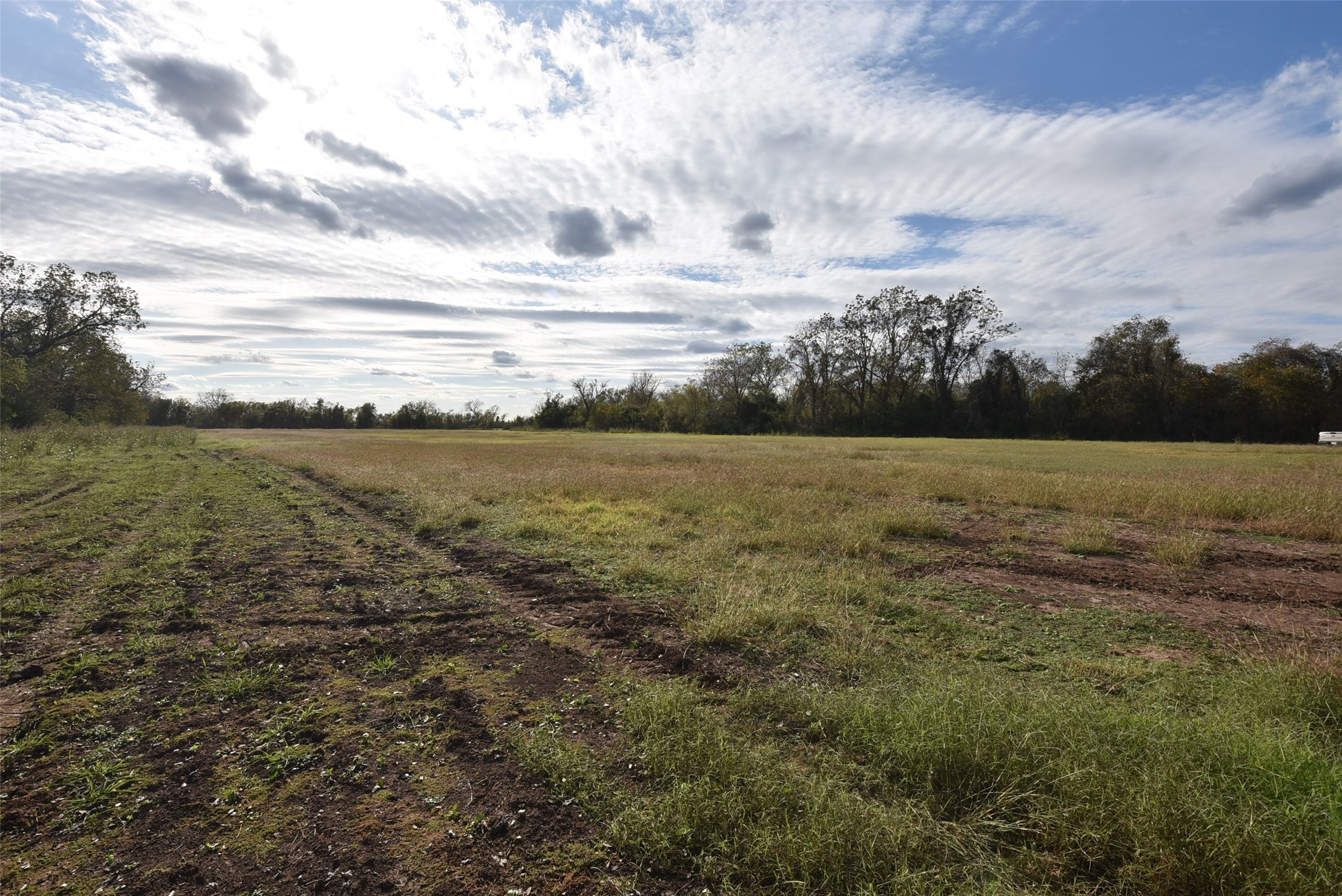 201 County Road 224 Wharton, TX 77488 - Photo 36 of 41 a view of ocean with green space